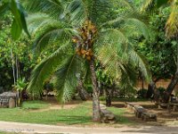 DSC08191 : David von der Mehden