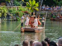 DSC08214 : David von der Mehden