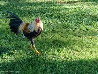 DSC08484 : David von der Mehden