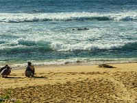 DSC08493 : David von der Mehden