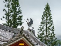 DSC08503 : David von der Mehden