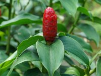 DSC08508 : David von der Mehden