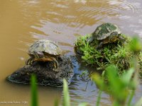 DSC08513 : David von der Mehden