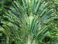 DSC08516 : David von der Mehden