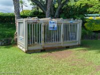 DSC08526 : David von der Mehden