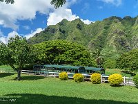 DSC08532 : David von der Mehden