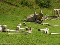 DSC08551 : David von der Mehden