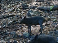 DSC08568 : David von der Mehden