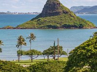 DSC08576 : David von der Mehden