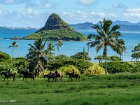 DSC08581 : David von der Mehden