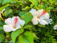 IMG 1380 : David von der Mehden