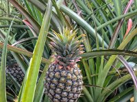 IMG 1385 : David von der Mehden