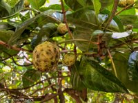 IMG 1396 : David von der Mehden