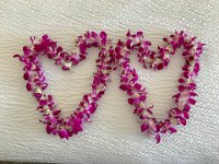 IMG 4727 : David von der Mehden