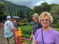 IMG 4818 : David von der Mehden