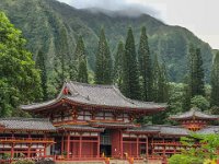 IMG 4820 : David von der Mehden