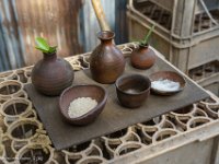 DSC07663 : David von der Mehden