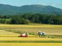 DSC07722 : David von der Mehden