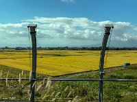 IMG 4591 : David von der Mehden