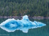 DSC07041 : David von der Mehden
