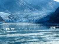 DSC07076 : David von der Mehden