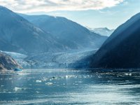 DSC07089 : David von der Mehden