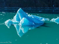 DSC07108 : David von der Mehden