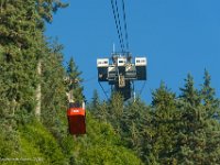 DSC07159 : David von der Mehden