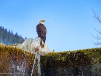 DS600317 : David von der Mehden