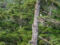 DS600336 : David von der Mehden