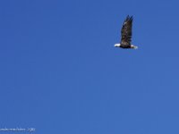 DS600503 : David von der Mehden