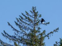 DS600557 : David von der Mehden