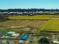 DSC07929 : David von der Mehden