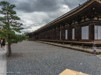 DSC07995 : David von der Mehden