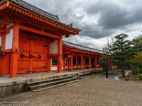 DSC07996 : David von der Mehden