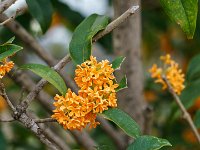 DSC07999 : David von der Mehden