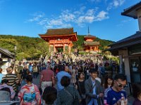 DSC08009 : David von der Mehden