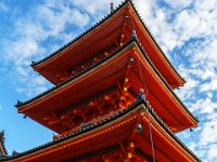 DSC08020 : David von der Mehden