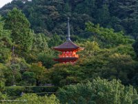 DSC08028 : David von der Mehden