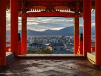 DSC08042 : David von der Mehden