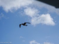 DSC07413 : David von der Mehden