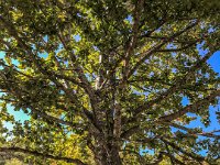 IMG 4463 : David von der Mehden