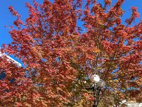 IMG 4464 : David von der Mehden