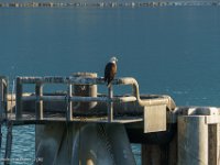 DS600746 : David von der Mehden