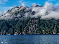 DS600788 : David von der Mehden