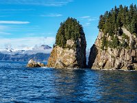 DS600805 : David von der Mehden