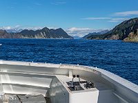 DS600818 : David von der Mehden