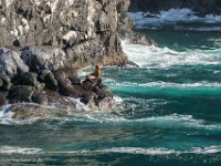 DS600827 : David von der Mehden