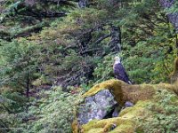 DS600842 : David von der Mehden