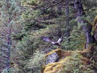 DS600849 : David von der Mehden